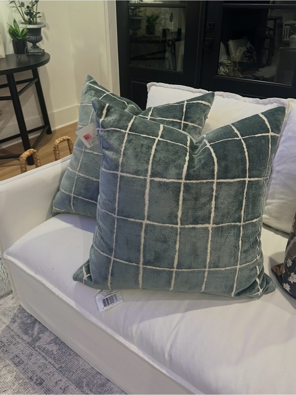 Southern Living Euro Pillows